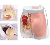 Buttock Injection Model, Electronic Hip Injection Training Simulator,Half-Transparent Buttock Muscle Injection Practice Model, for Medical Students Teaching