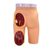Buttock Injection Practice Model, Buttock Muscle Injection and Anatomical Structure Model, 3 Injection Training Methods, Plastic Elastomer Material, Easy To Observe, for Medical Students/Nurses
