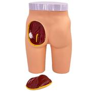 Buttock Injection Practice Model - Realistic Medical Training Simulation for Students and Nurses