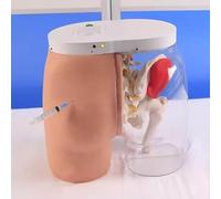 Buttock Injection Training Model, Hip Injection Practice Model, With Operation Error Alarm Prompt Sound, For Nursing Practice