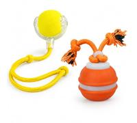 Buuraqq 2PCS Interactive Dog Ball for Fetch and Retrieval | Interactive dog ball for fetch and retrieval, offering a simple way to engage dogs in active interaction.