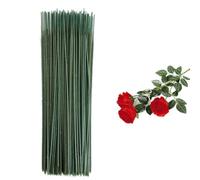 BuuyyBann 100 PCS Plastic Flower Rod 25CM Artificial Green Wrapped Iron Wire Flower Stems Simulated Artificial Floral Stems for Artificial Flowers DIY Craft Projects