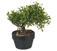 (Buxus Tree (Khaki Green)) Artificial Plant Tree Potted Buxus Bonsai