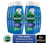 (Buy 6 - Feel Awake) Radox Body Wash & Shampoo 2in1 Feel Awake Men450ml
