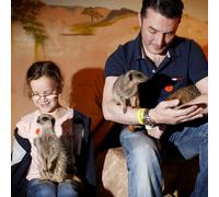 Buyagift 2 for 1 Meet The Meerkats Experience