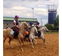 Buyagift One Hour Horse Riding Gift Experience