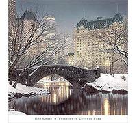 Buyartforless Twilight in Central Park by Rod Chase 30x30 NYC Bridge Art Print Poster