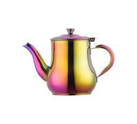 BUYER STAR 500 ML Stainless Steel Gooseneck Teapot with Strainer for Loose Tea, Metal Coffee Server Olive Oil Can Table Serving Pot for Home, Restaurant, Outdoor, Dishwasher Safe (Rainbow)