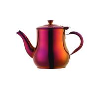 BUYER STAR 500 ML Stainless Steel Gooseneck Teapot with Strainer for Loose Tea, Metal Coffee Server Olive Oil Can Table Serving Pot for Home, Restaurant, Outdoor, Dishwasher Safe (Orange Red)