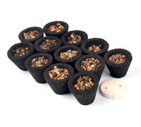 BUYERS POINT Hawan Kund incense dhoop for puja meditation shudhi 12 pc | Long Lasting Aroma for Prayer, Puja, and Meditation | Relaxation and Stress Relief (Loban - 12 Piece)