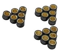 BUYTUS Variator Roller Weights 21x17mm 10.3g 11.2g 13.8g Compatible With VXR200 Nexus250 Nexus300 Oregon300(21x17mm 13.8g)