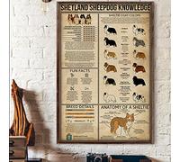 Buywell Metal Vintage Tin Sign Decor Shetland Sheepdog Knowledge Anatomy of A Sheltie Poster Wall Poster Plaque for Home Kitchen Bar Pub Club Coffee Shop Decor 8x12 Inch
