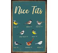 Buywell Nice Tits Funny Bird ¨C Blue Tit, Marsh Tit, Crested Tit, Long Tailed Tit, Great Tit, Coal Tit Decor Poster Wall Art Tin Sign Decor Metal Sign Poster 8X12 Inches
