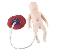 buyzg Baby Teaching Model Neonatal Baby Manikin with Umbilical Cord Placenta Model Anatomical Teaching Tool for Obstetrics Gynecology Training