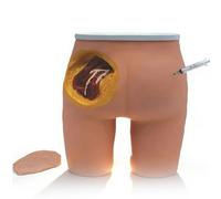 buyzg Buttock Injection Model,Human Buttocks Intramuscular Injection Models,3 Injections Training Methods Simulator with Removable Skin for Clinical Skills Practice and Nurse Teaching