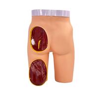 buyzg Buttock Injection Model,Human Buttocks Intramuscular Injection Training,Removable Hip Injections Training Simulator for Medical Students and Nurses Practice with 3 Methods