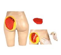 buyzg Buttock Injection Model, Human Buttocks Intramuscular Training Model,Realistic Buttock Hip Injection Practice Models for Medical Students Nurses Detailed Training Methods