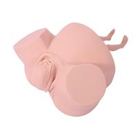 buyzg Female Production Model 9 Months Baby Fetus Model Female Pelvis Anatomical Model for Pregnancy Childbirth Simulation Tool Reproductive Anatomy Model