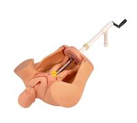 buyzg Female Production Model,Advanced Midwifery Training Childbirth Simulator,Life Size Gynecology Maternity Teaching Models Baby Uterine Manikin Genitals Anatomy Gynecological Training