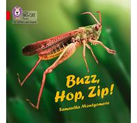 Buzz, Hop, Zip! Big Book: Band 02A/Red A (Collins Big Cat Phonics for Letters and Sounds)