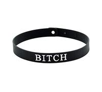 Buzz Pinky Sexy Sub Silicone Adjustable Collar Fetish Bitch