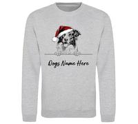 buzz shirts Personalised Border Collie Christmas Sweatshirt For Dog Lovers, Mens or Womens Unisex Fit Grey