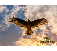 Buzzard Bird of Prey Fathers Day Card