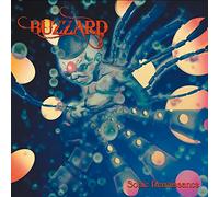 Buzzard - Sonic Renaissance