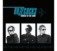 Buzzcocks - Sonics In The Soul