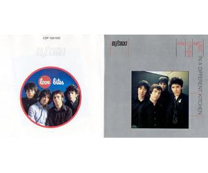 Buzzcocks, the - Another Music/Love Bites