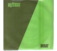 Buzzcocks - What Do I Get