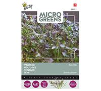 Buzzy Microgreens, Mustard Red Frills Seeds