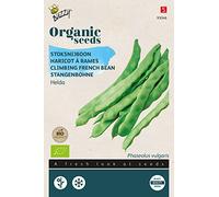 Buzzy Organic Climbing French beans Helda(BIO) - Content: approx. 15 grams