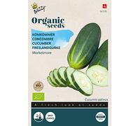 Buzzy Organic Cucumber Marketmore(BIO) - Content: approx. 1 grams