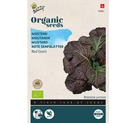 Buzzy Organic Mustard Red Giant (BIO) - Content: approx. 1 grams