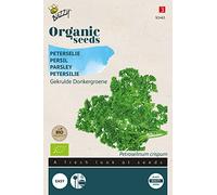 Buzzy Organic Parsley Frisé vert foncé (BIO) - Content: approx. 1.75 grams