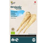 Buzzy Organic Parsnip Geurnsey (BIO) - Content: approx. 3 grams