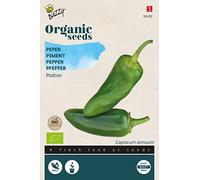 Buzzy Organic Pepper Padron (BIO) Seeds - Content: approx. 0.15 grams
