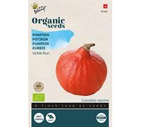 Buzzy Organic Pumpkin Uchiki Kuri(BIO) - Content: approx. 1.75 grams