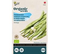 Buzzy Organic Runner Beans Emergo White (BIO) - Content: approx. 25 grams
