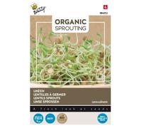 Buzzy Organic Sprouting Lentills (BIO)
