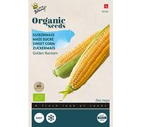Buzzy Organic Sweet Corn Golden Bantam (BIO) - Content: approx. 3 grams