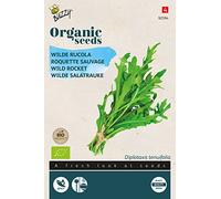 Buzzy Organic Wild Rocket (BIO) - Content: approx. 0.6 grams