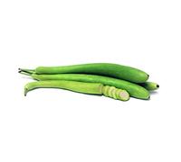 Buzzy Ornamental Squash Italian Snake - 2.5 grams