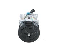 BV PSH A C Compressor 11104419 11412632 14649606 15082742