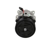 BV PSH A C Compressor 84058795