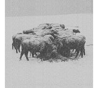 bvdub - Ten Times the World Lied