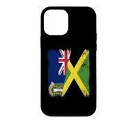 BVI Jamaica Flag British Islands Jamaica Case for iPhone 12 mini