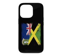 BVI Jamaica Flag British Islands Jamaica Case for iPhone 13 Pro