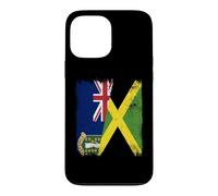 BVI Jamaica Flag British Islands Jamaica Case for iPhone 13 Pro Max